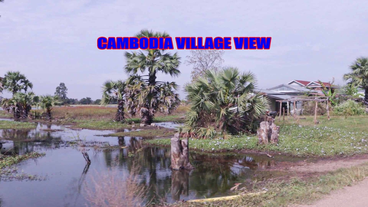 Cambodia Village View : Peaceful Cambodia Countryside  [ Mr Lee Village Tour ]