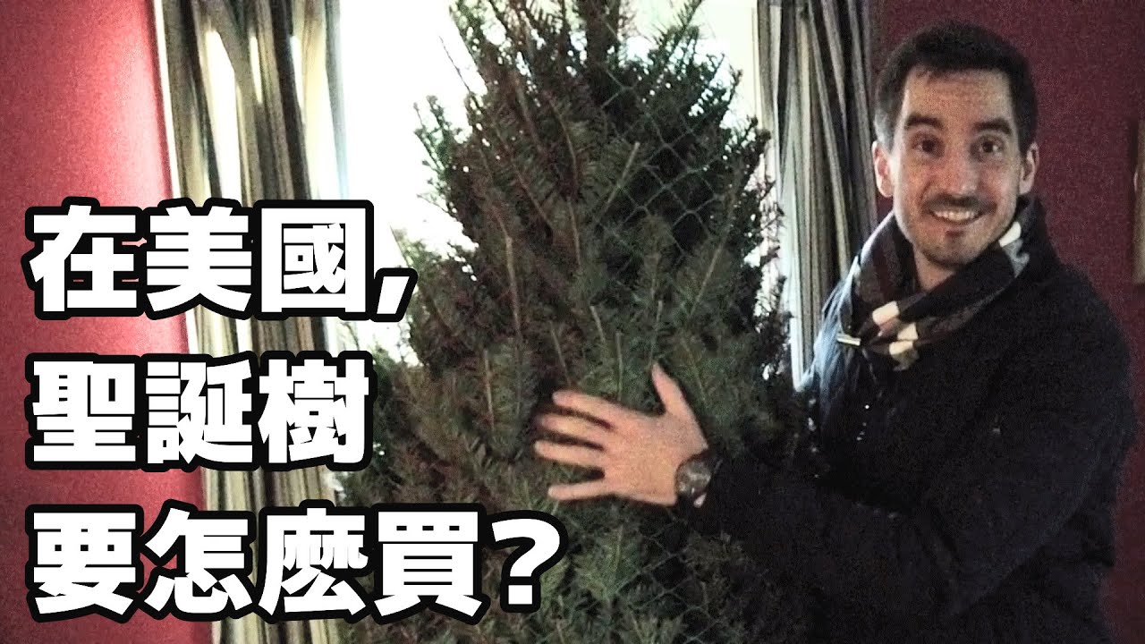 在美國，聖誕樹要怎麽買？呂凱 Kyle 帶你去看怎麽把聖誕樹帶回家！