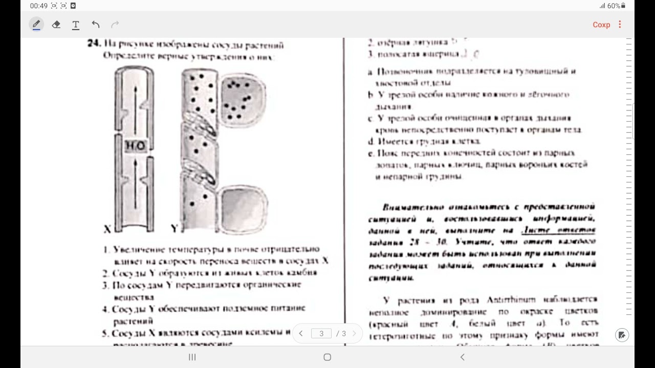 ДИМ/ Пробный экзамен по биологии/  А вариант/  19. 12. 2021/