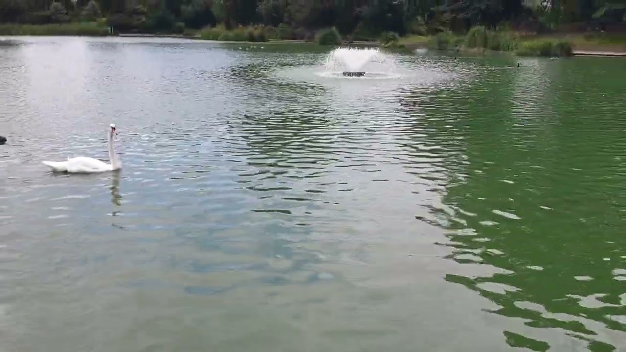 Alvaston Park in Derby 2