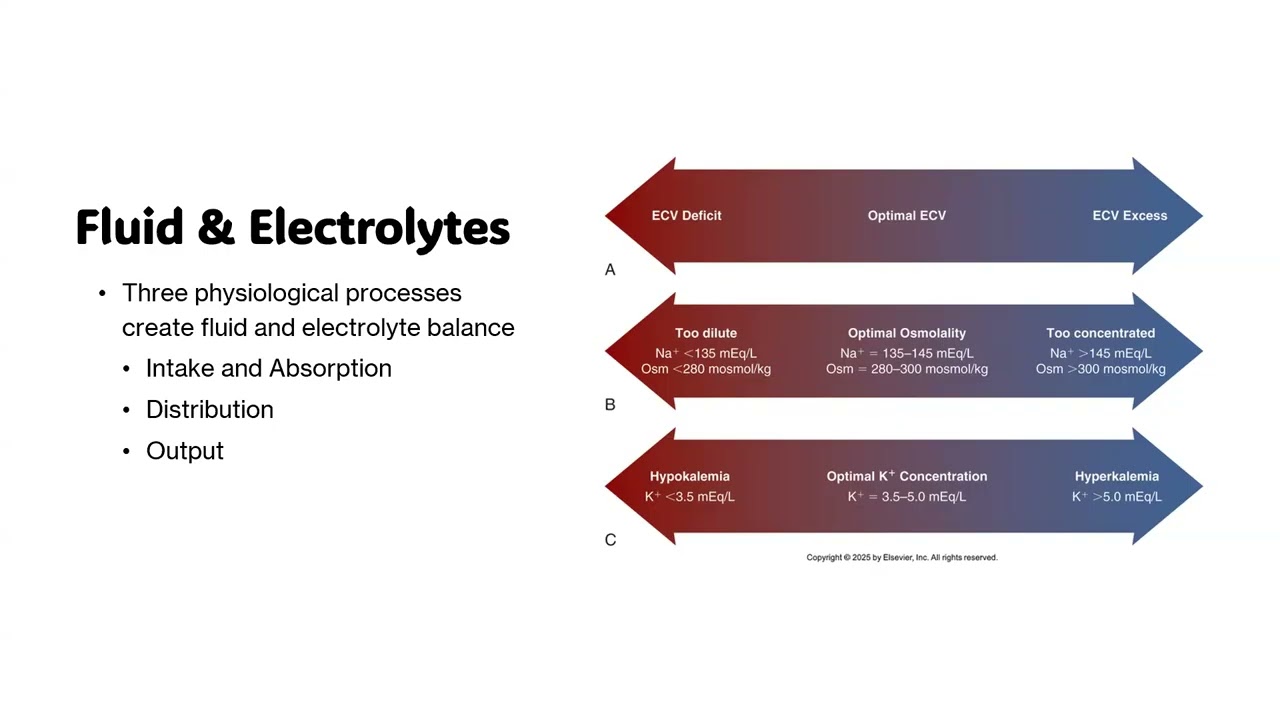 NUR160 Week 6 Lecture1 Fluid and Electrolytes LM