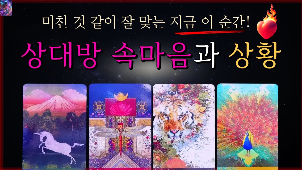 [타로]💗독심술 리딩💗지금 상대방 뭐하나? 상황과 속마음❤️‍🔥 관계 흐름 (썸 짝사랑 재회 애매한 관계)