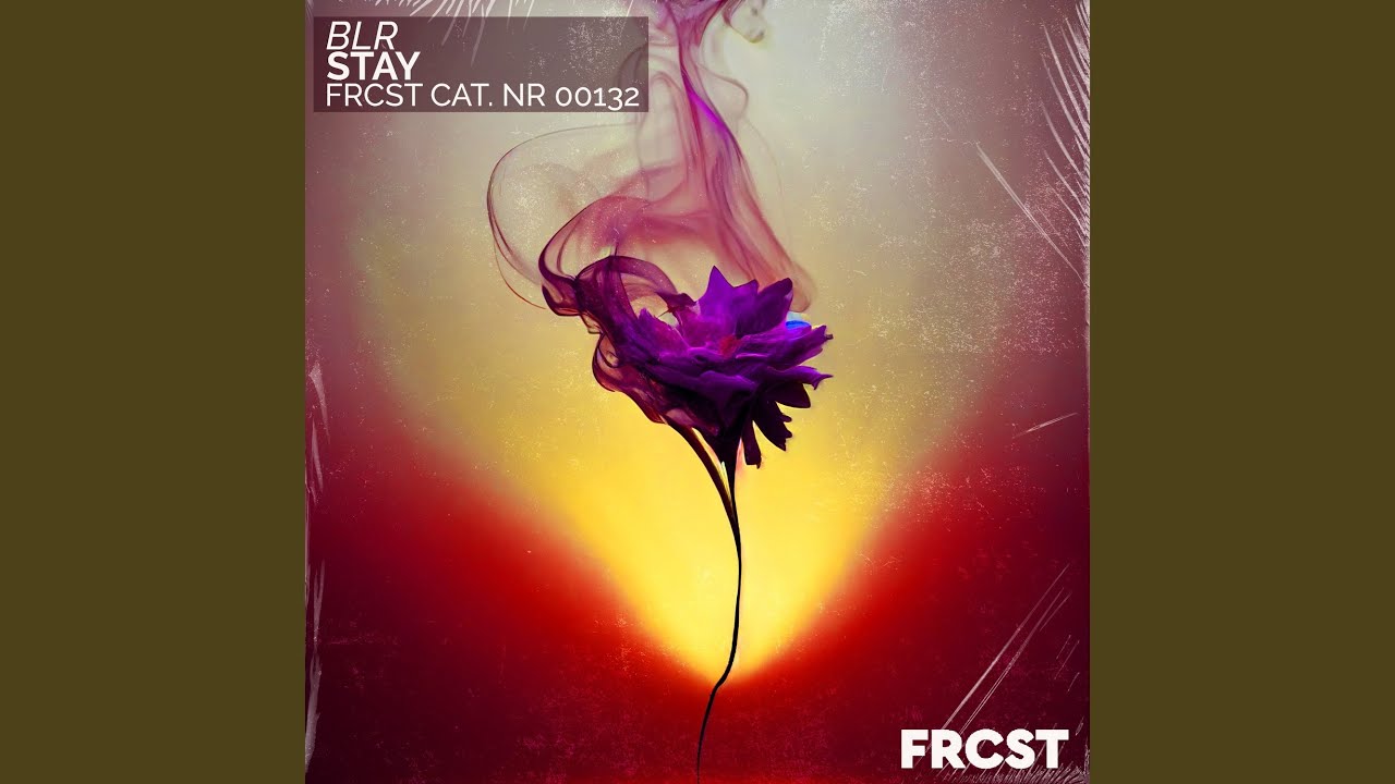 Stay