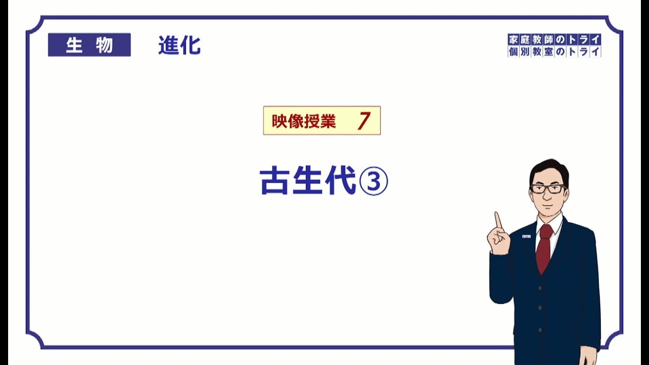 【高校生物】　進化7　古生代③（20分）