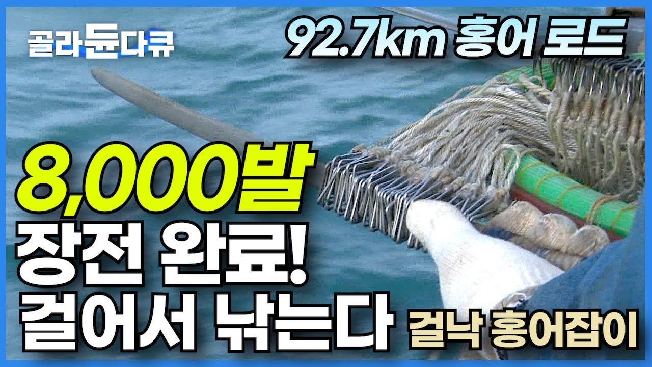 8,000발 낚싯바늘이 순식간에 휘리릭! 오직 한국인만 타는 흑산도 마지막이자 유일한 배! 영진호의 고집스러운 걸낙 만선 홍어잡이┃바다와의 싸움 만선 홍어로드┃극한직업┃#골라듄다큐