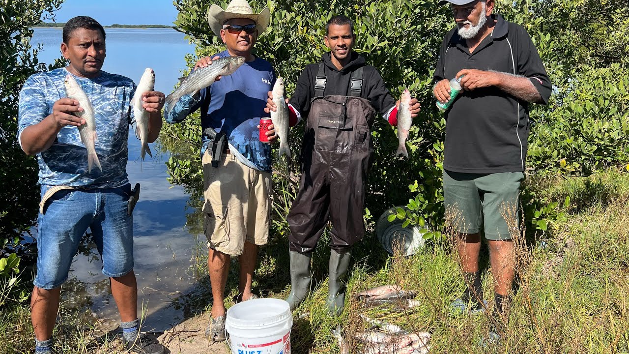 Mullet catch clean and cook￼