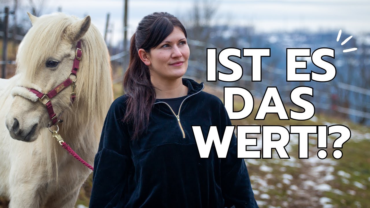 Diese Kompromisse muss ich mit meinem eigenen Stall eingehen