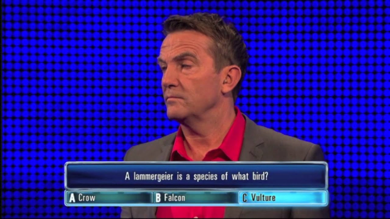 The Chase - Bradley Walsh Laughing - Tortoise Kills Baldeheaded Man
