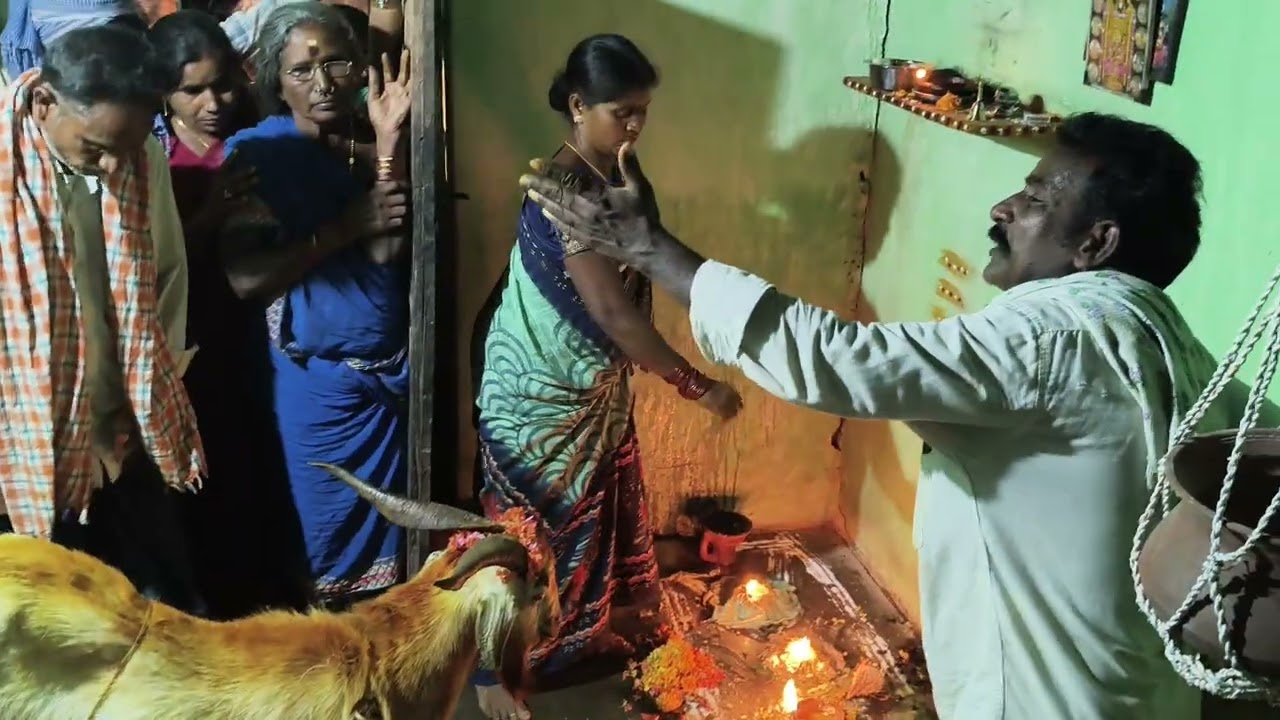 గొల్ల చదువు చప్ప. దాలప్పడు గురువు గారు 7660956024 (30/01/2026)