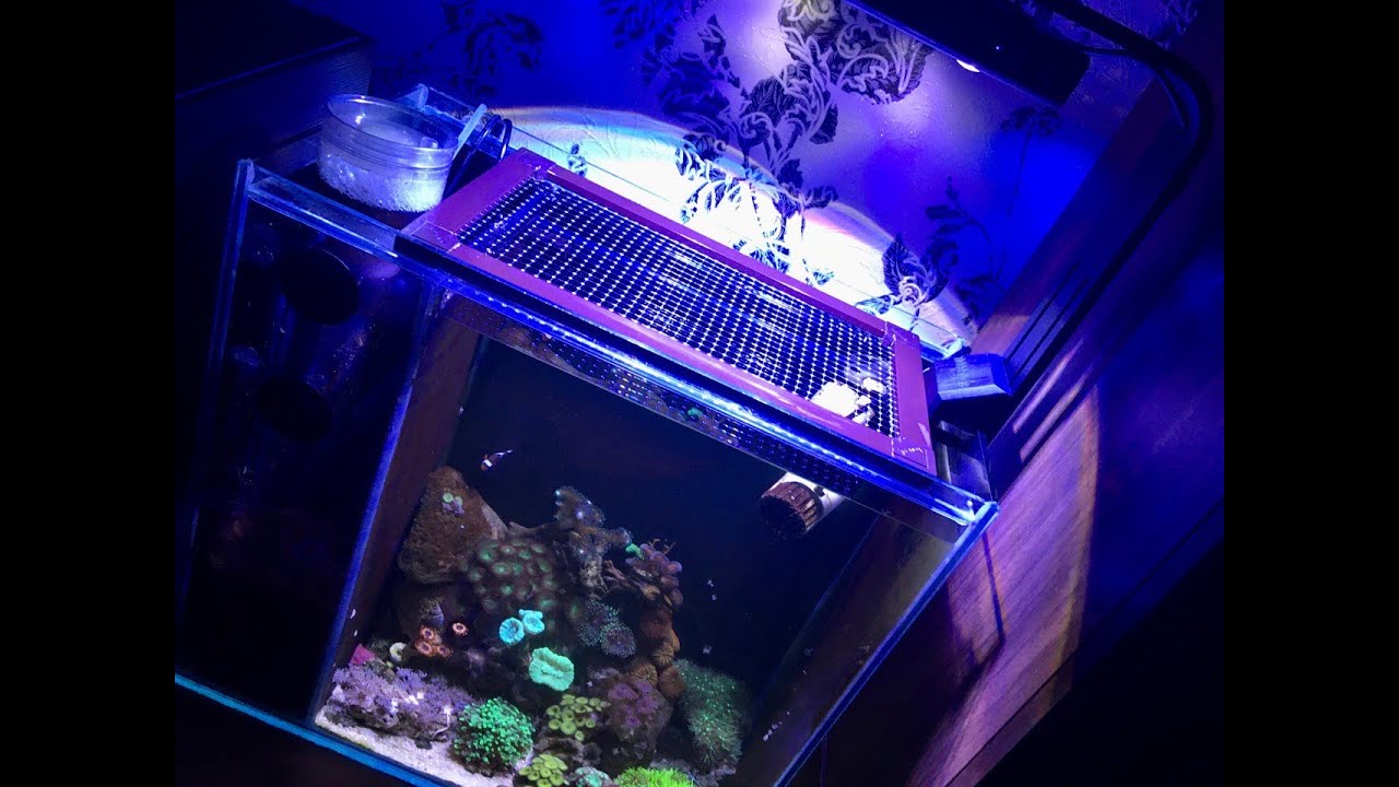 Лампа для морского аквариума Noo-Psyche K7 Pro.