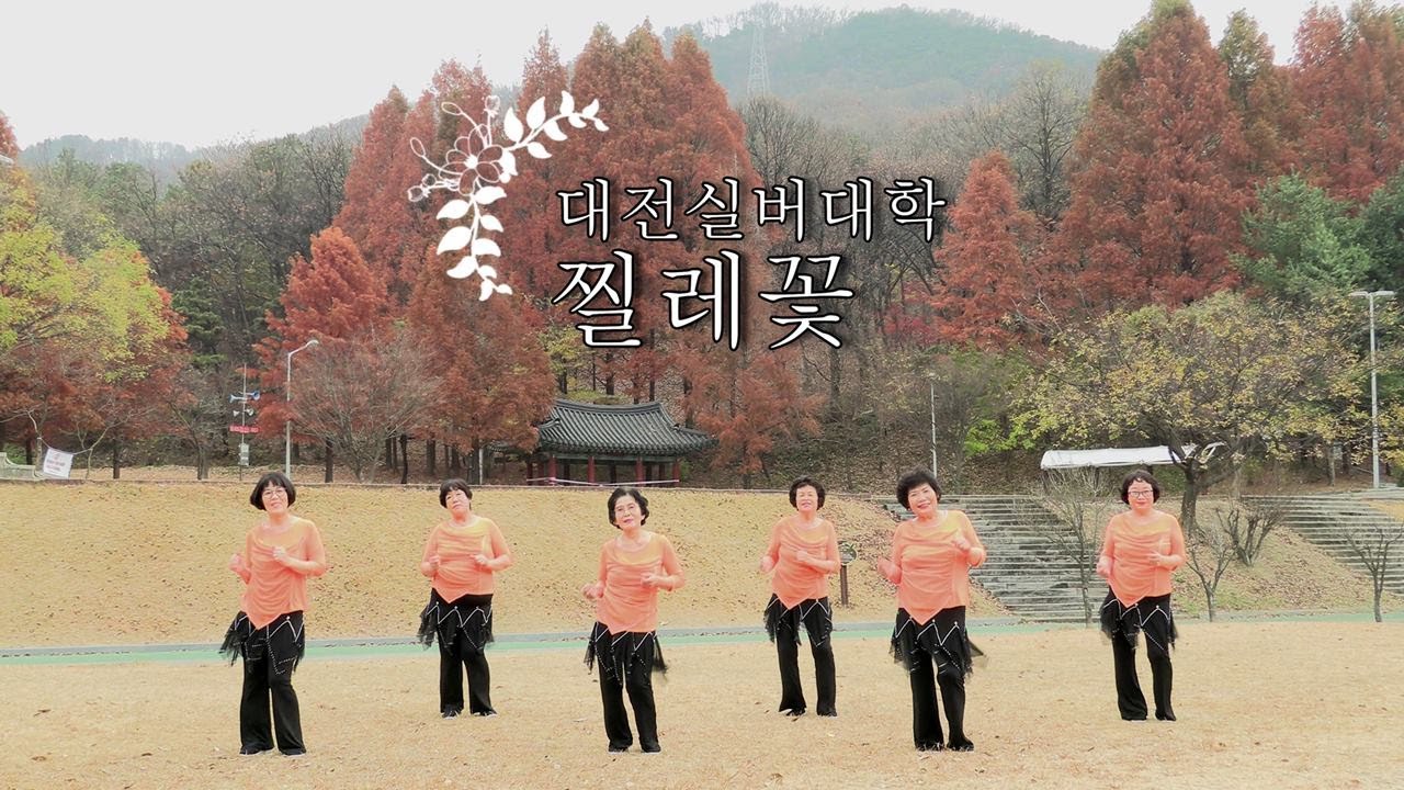[실버댄스] 찔레꽃