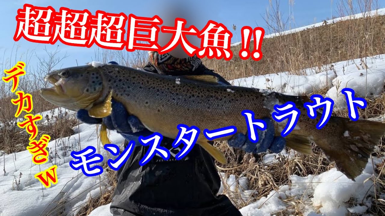 超超超巨大！モンスタートラウト捕獲劇！怪物ブラウントラウト出たぞっ！【ガサガサ】Brown trout