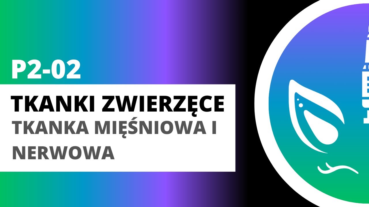 P2-02 Tkanki zwierzęce - tkanka mięśniowa i nerwowa