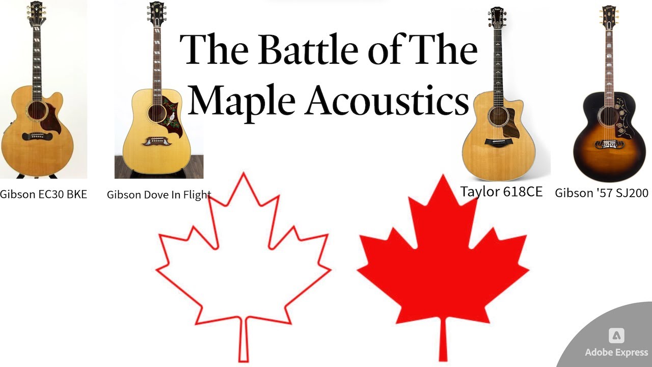 Blues King vs Dove vs 618CE vs J200 - Battle of the Maple Guitars