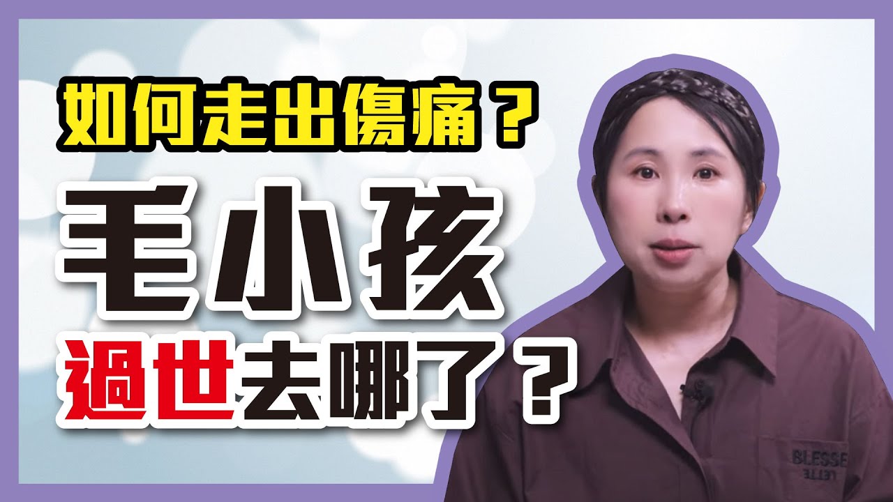 如何面對寵物的離世？毛小孩死後會去哪裡？真的有彩虹國嗎？［9］劉小草
