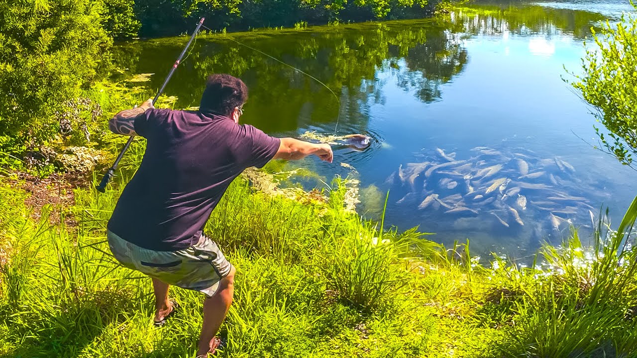 Maior Pesca e Ca&ccedil;a de ZARABATANA at&eacute; hoje, Fiz isso e Zerei a Vida