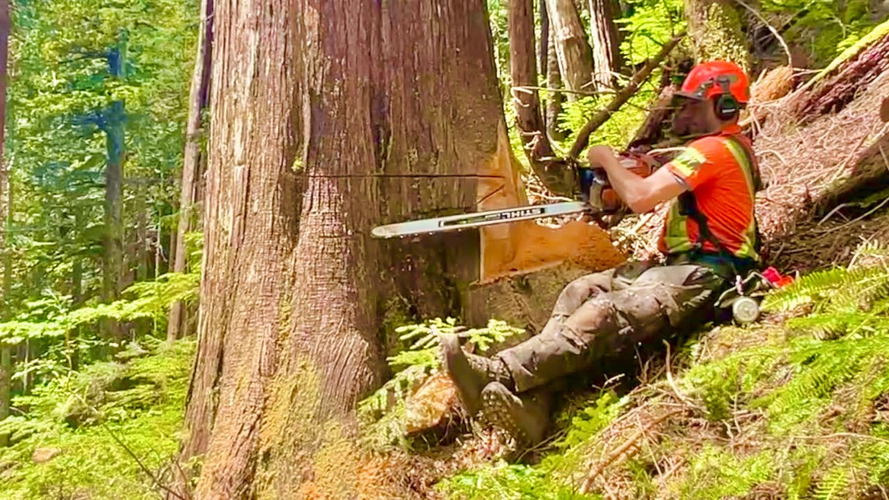 New heli-logging job | Opening the bottom line in steep ground