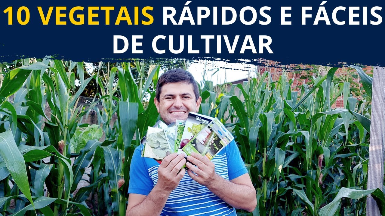 DEZ HORTALIÇAS que CRESCEM RÁPIDO. PLANTAS de colheita em ATÉ 2 MESES para ter uma HORTA RÁPIDO