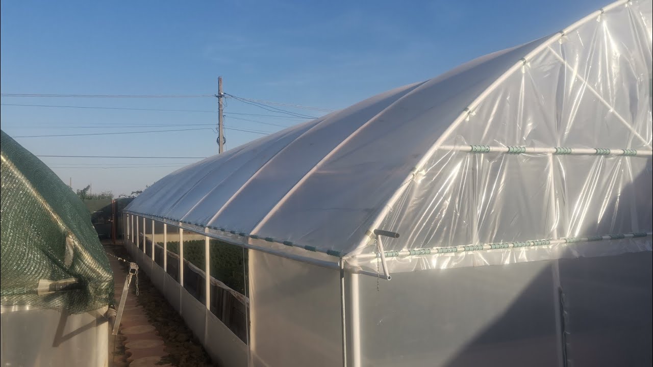 ÎN SFÂRȘIT AM PUS FOLIE NOUA PE SOLAR!