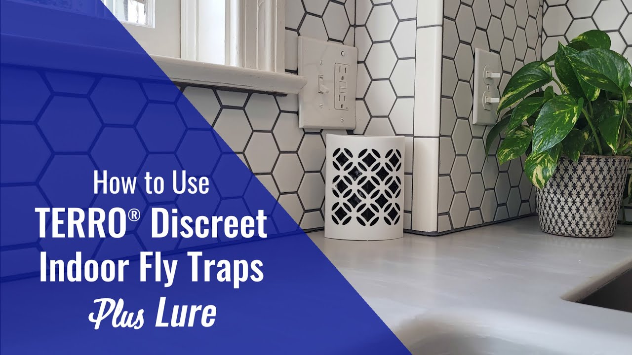 How to Get Rid of Flies with the TERRO® Discreet Indoor Fly Trap