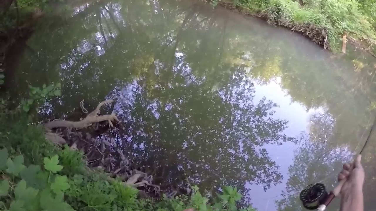 Fliegenfischen- schwer bewachsen