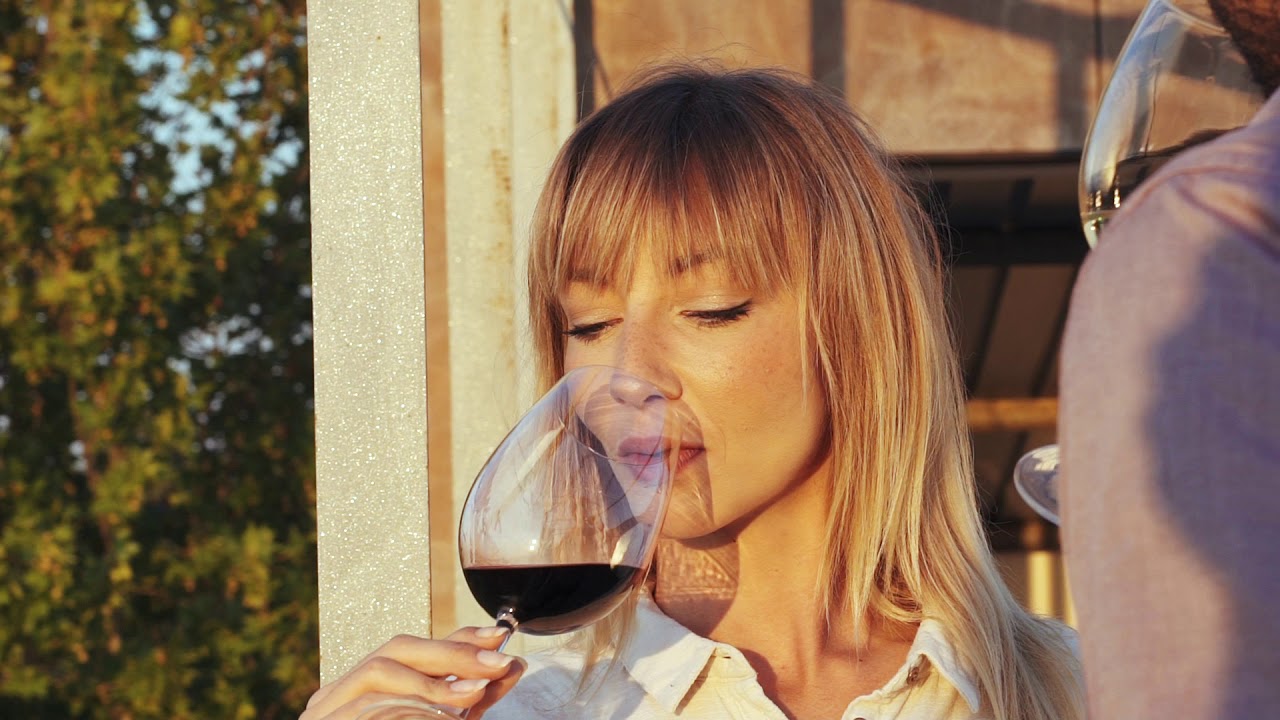Love Istria - Wine tasting in the Istrian vineyards