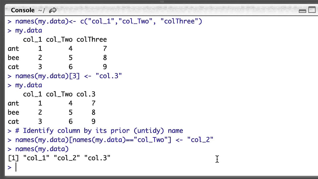 Naming and renaming columns in R dataframes