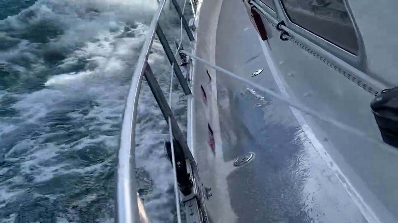 Danish Rose 35