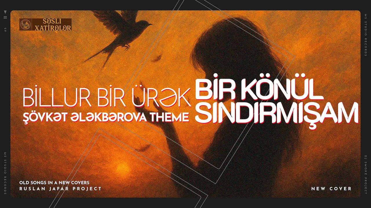 Səsli Xatirələr - Bir Könül Sındırmışam