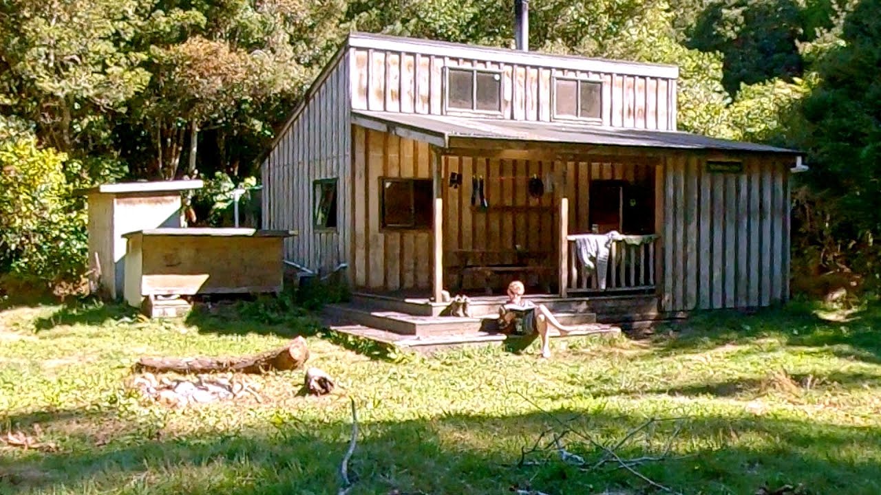 Waihaha Hut, Pureora Forest Park.  Hike and Camp in a Hunters Hut in New Zealand