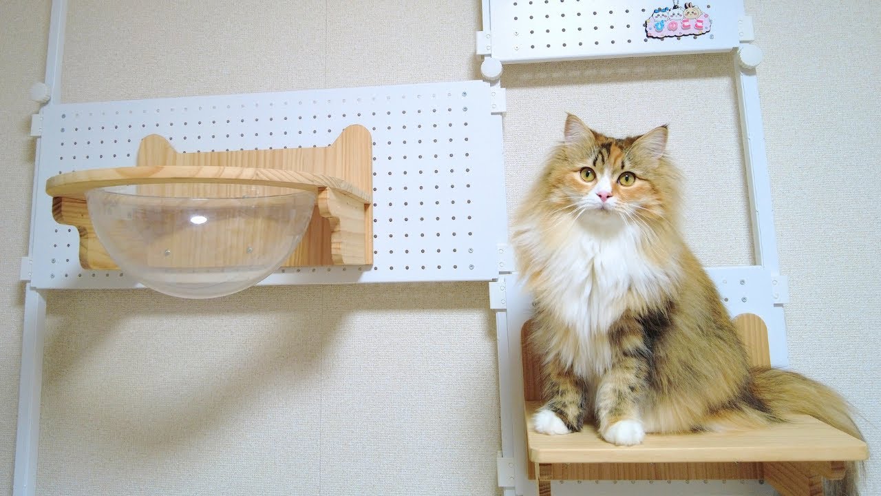 【猫グッズ】ニトリのキャットウォークを建て直す！　第２弾【サイベリアン】