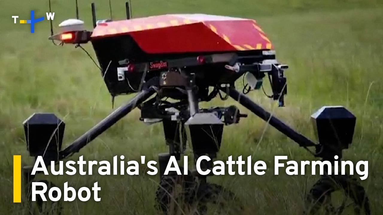 AI Robot Makes Australian Cattle Farming More Sustainable and Efficient ｜TaiwanPlus News