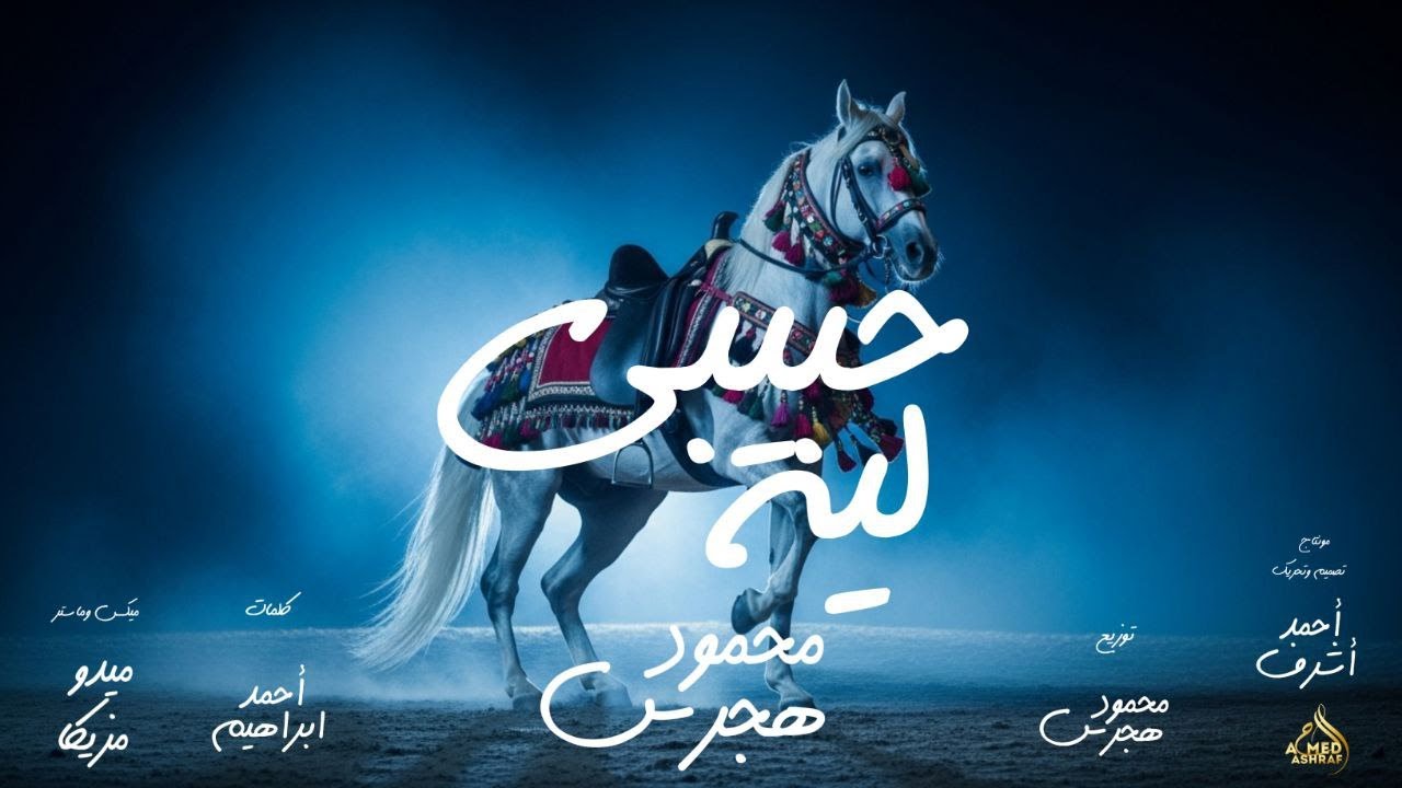 حبيبي ليه - محمود هجرس | Mahmoud Hagras - Habiby Lah (Official Lyrics Video)