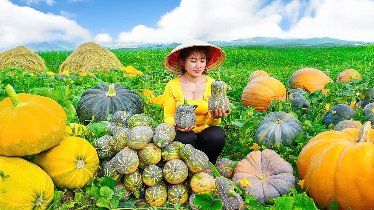 Timelapse - 999 Days Harvesting 1000kg Pumpkin – Selling at the Market & Feeding Fish & Chickens