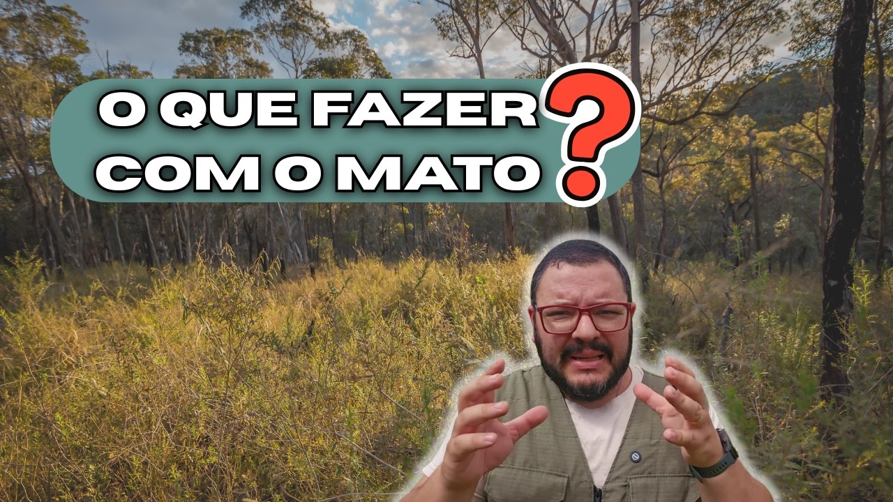 SOFRENDO COM ROÇADEIRA? Formas alternativas de CONTROLAR O MATO no sítio