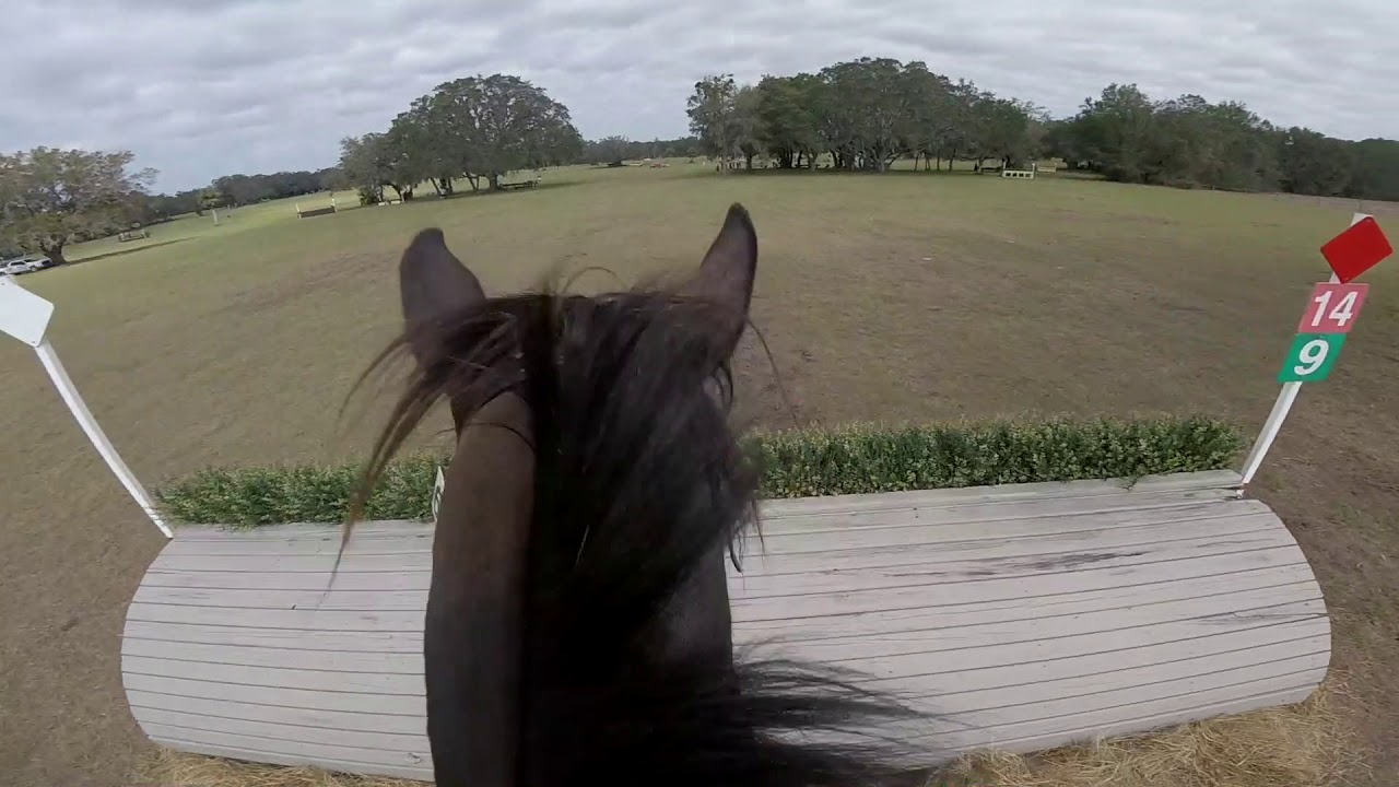 Helmet Cam: Riot Gear (Intermediate | 2018 Rocking Horse Winter II)