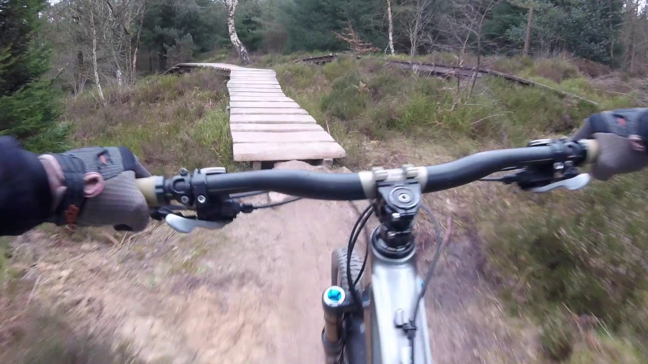 dalby forest April 2017