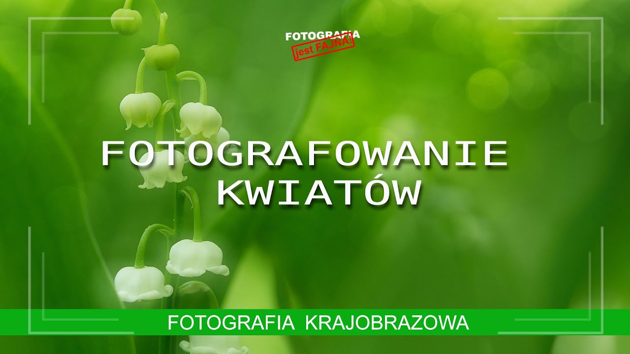 🚩Jak fotografować kwiaty - Fotografia krajobrazowa - Fotografia jest Fajna