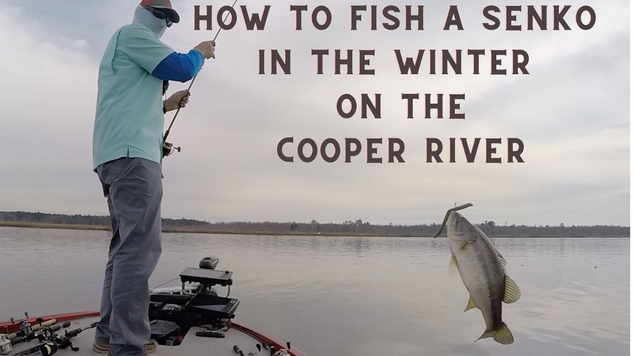 How to Fish a Senko in the Winter on the Cooper River