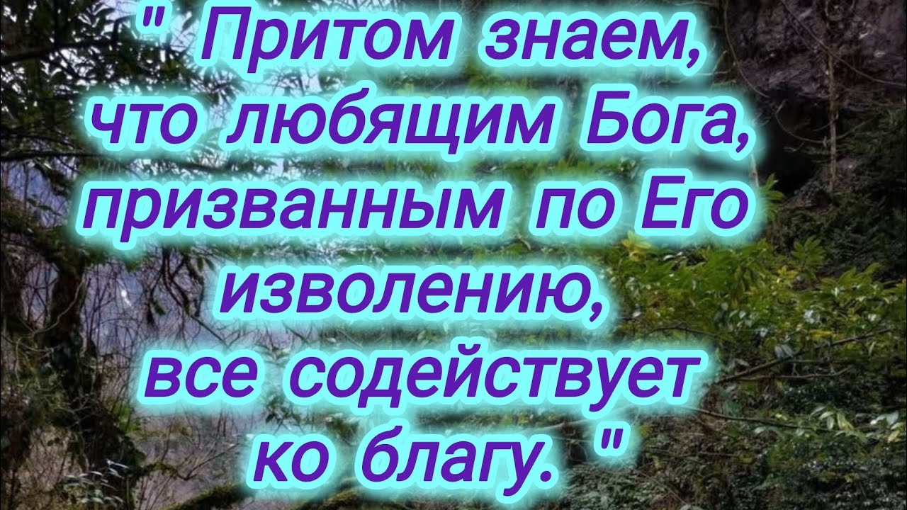 Божия безусловная любовь. 