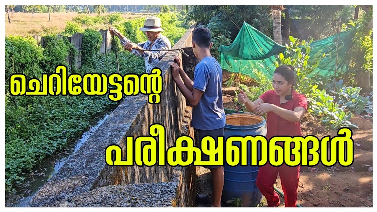 ചെറിയേട്ടന്റെ പരീക്ഷണങ്ങൾ 🥰/Agriculture tips /Krishi /Vegetable Garden /Cheera Krishi /Family vlog