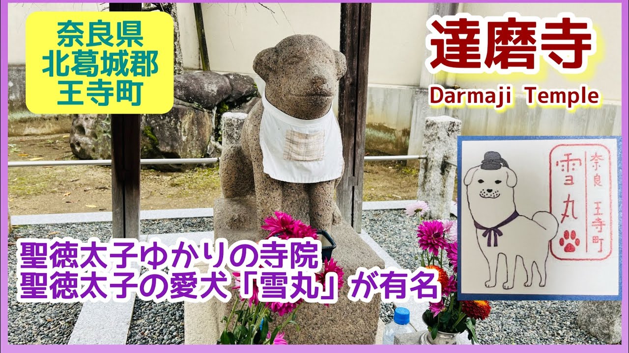 【パワースポット・奈良】聖徳太子ゆかりの寺院、聖徳太子の愛犬「雪丸」が有名▶︎達磨寺／奈良・寺社巡り  #dog #参拝