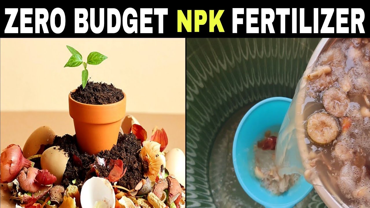 Free NPK Fertilizer: Zero Cost Gardening: Homemade Liquid Fertilizer and Pesticides | Chemical-Free