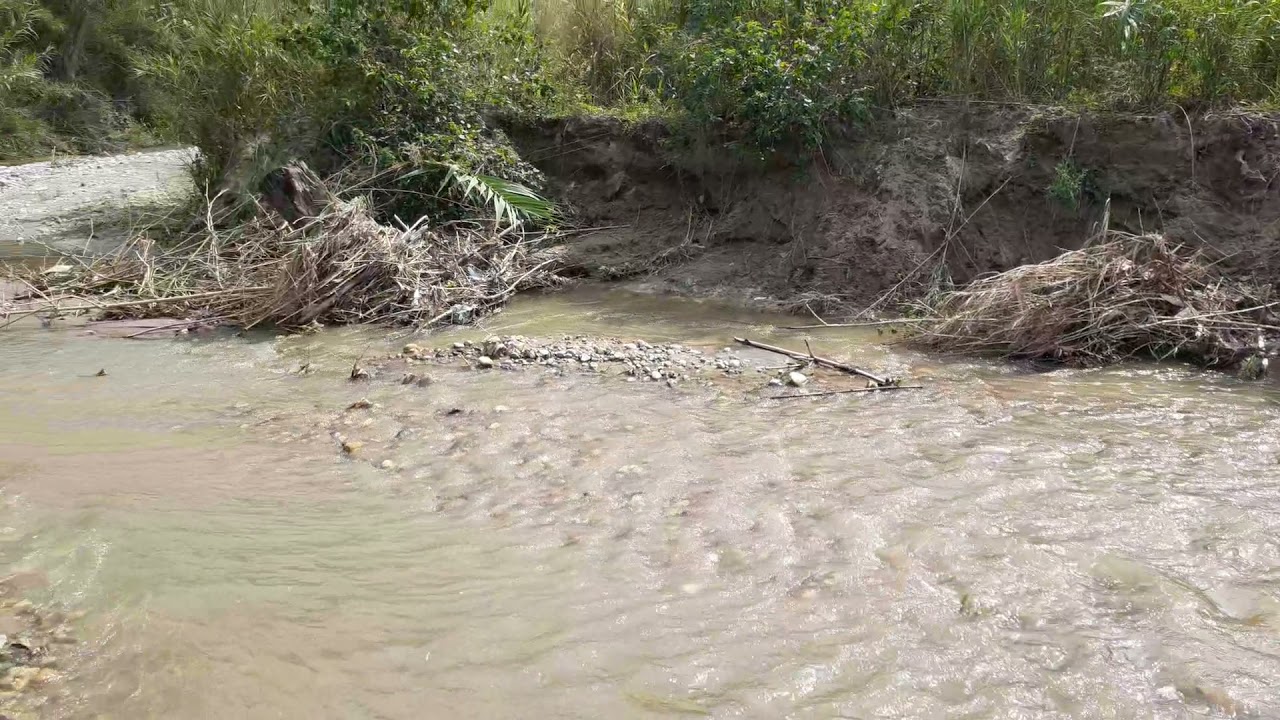Kukanet khadd janauri near Hoshiarpur punjab.October 2021