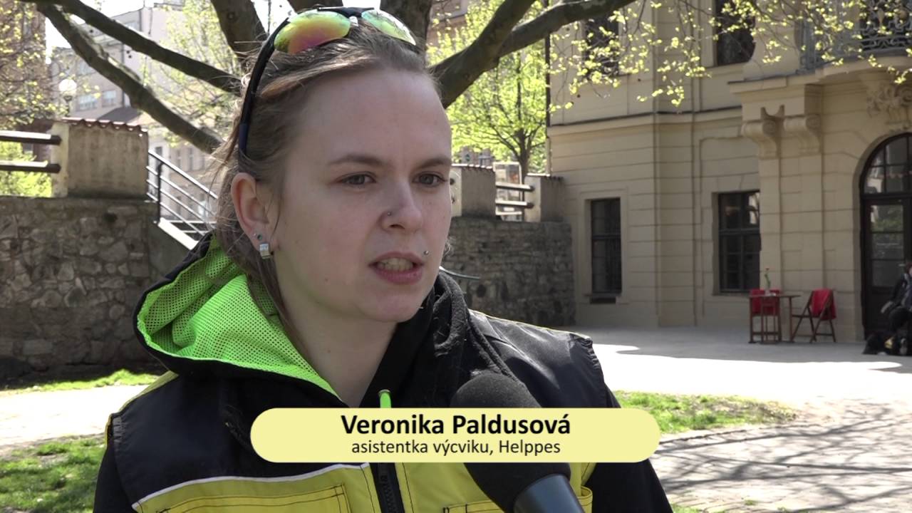 Helppes - Centrum výcviku psů pro postižené o.p.s.®