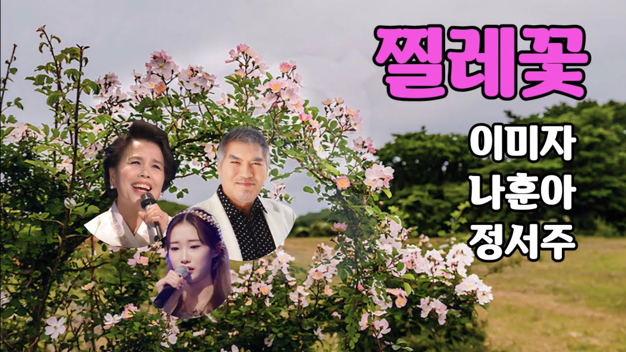 찔레꽃 이미자 나훈아 정서주