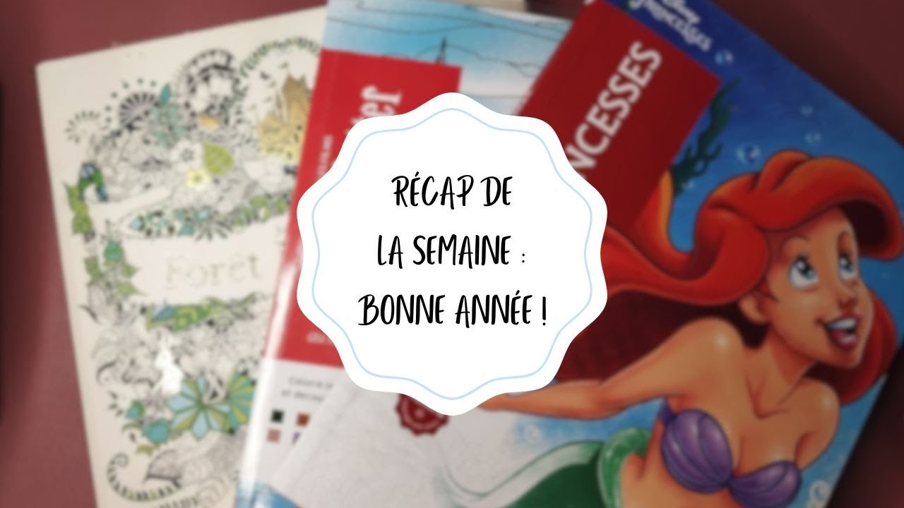 Récap n°2 - Entrée dans une nouvelle année !🎨