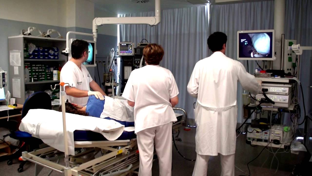 HOSPITAL GENERAL UNIVERSITARIO DE ELCHE