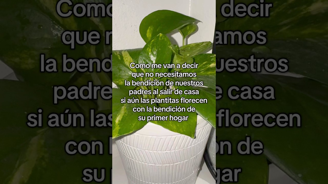 mandaselo a tus hijos 