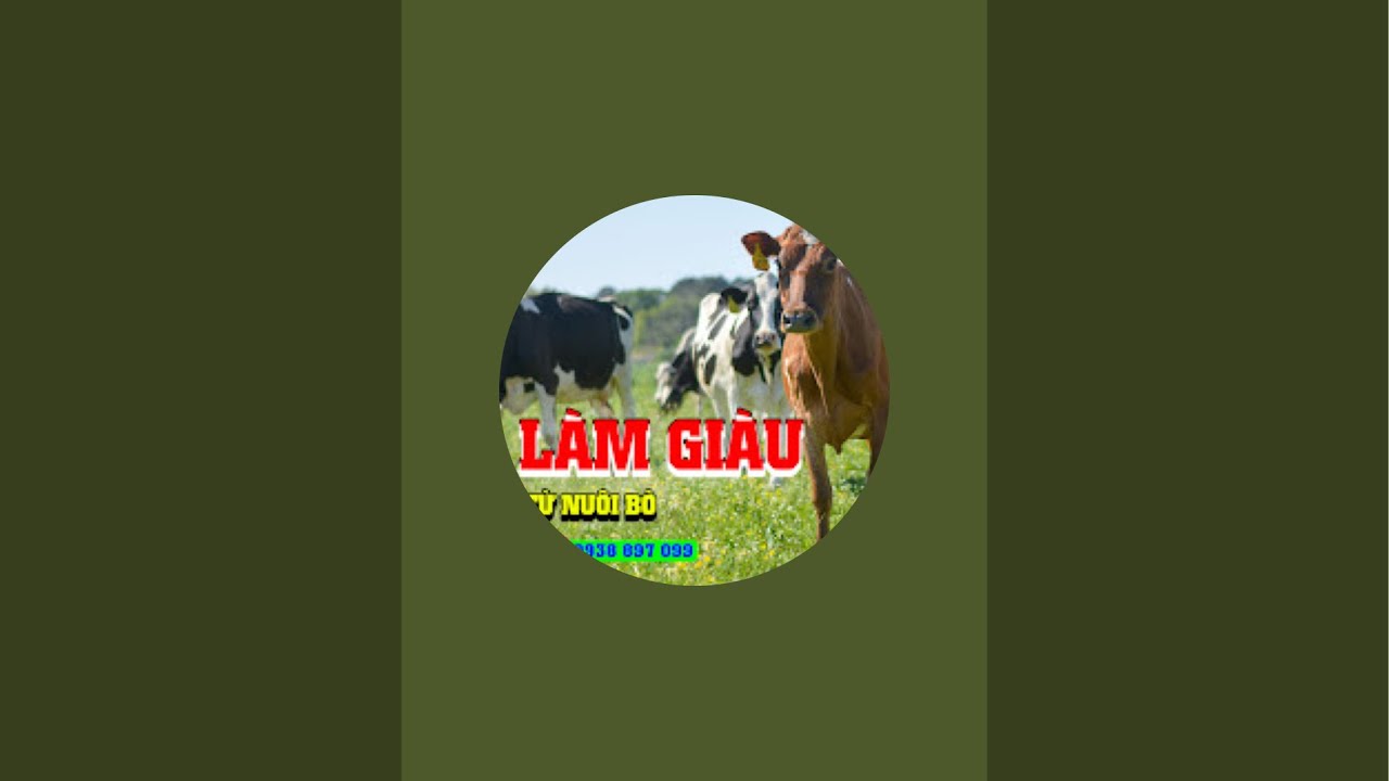 TẬP CHĂN NUÔI _97 đang phát trực tiếp!